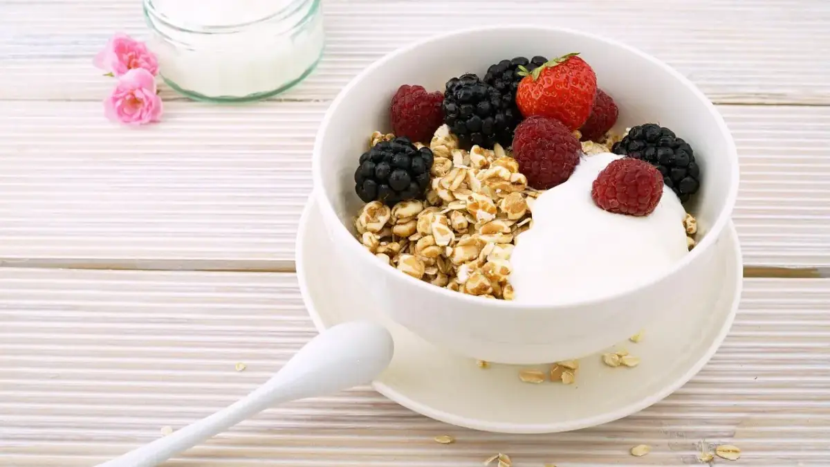 mi az a skyr