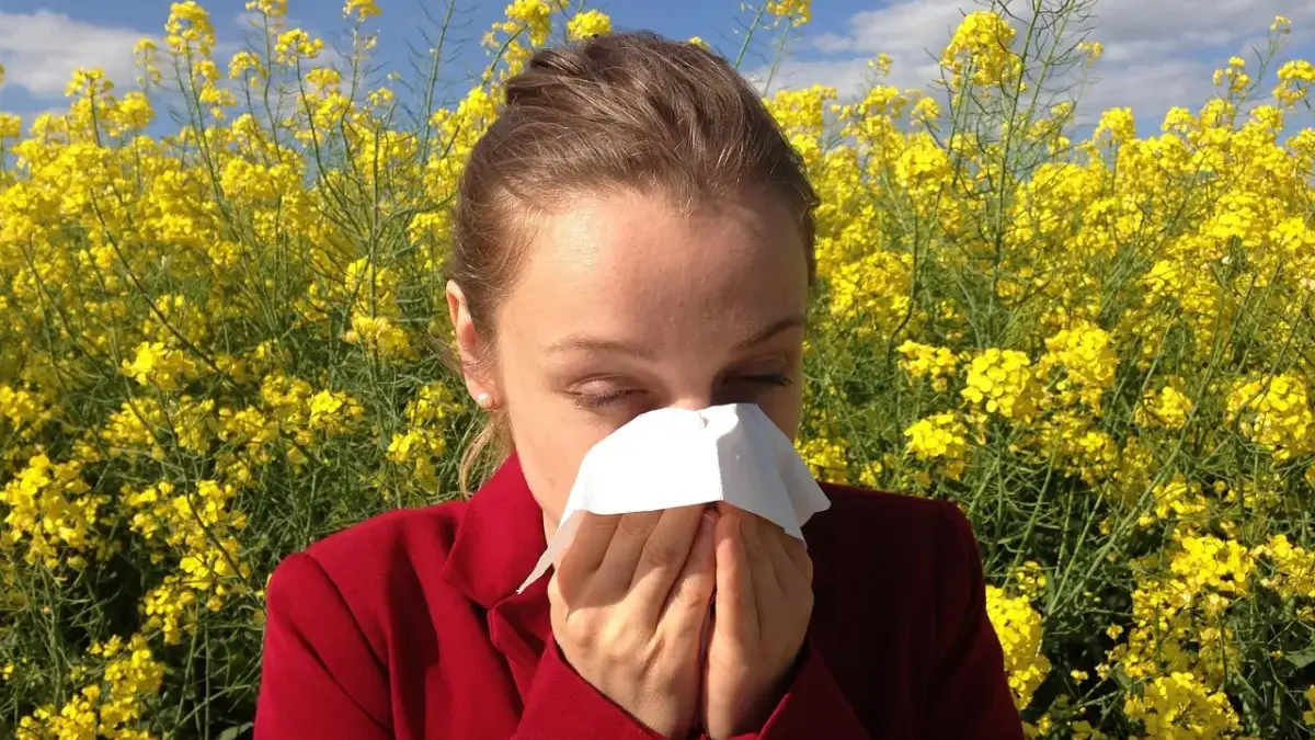 mi a legjobb allergia ellen