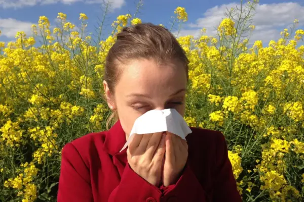 mi a legjobb allergia ellen